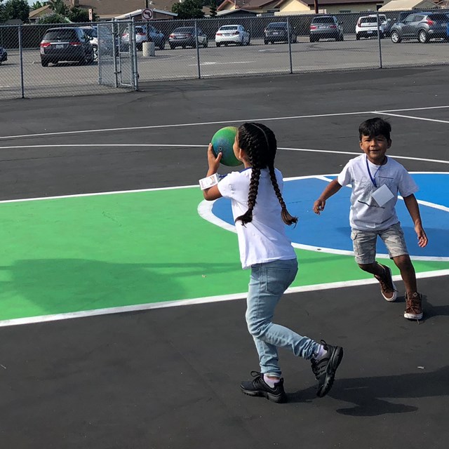 Basketball